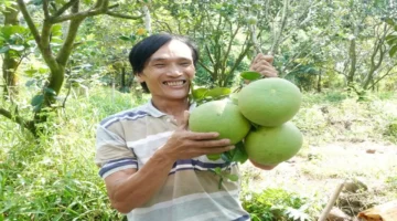 خطة جديدة.. مصر تطلق مشروع تطوير الزراعة المتنوعة في 5 محافظات